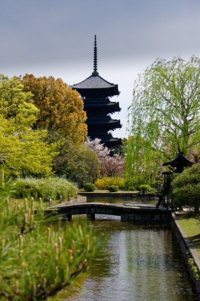 GIZ_6384 ultralight LOGO